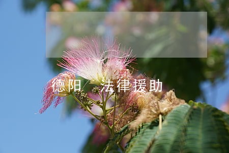 德阳 法律援助 德阳 法律援助